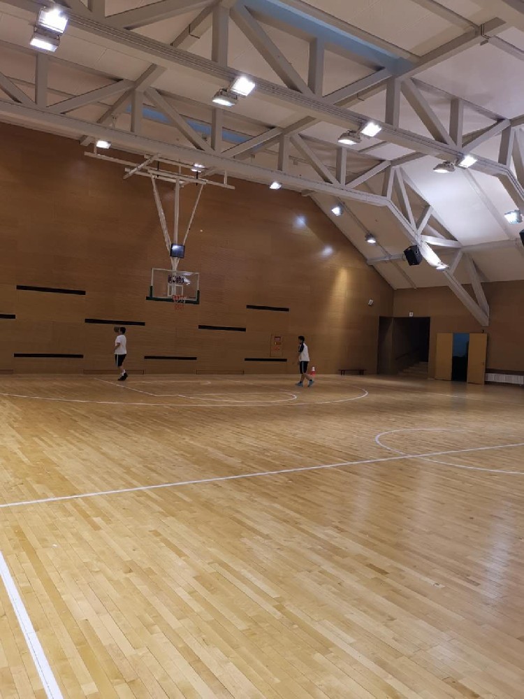 体育木地板市场的需求有多大？