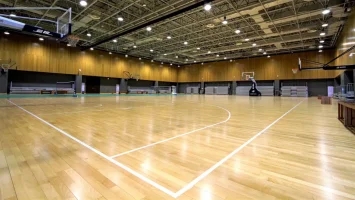 运动木地板有哪些功效