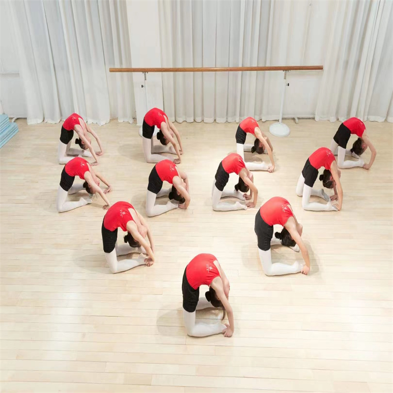 学校舞蹈室施工案例