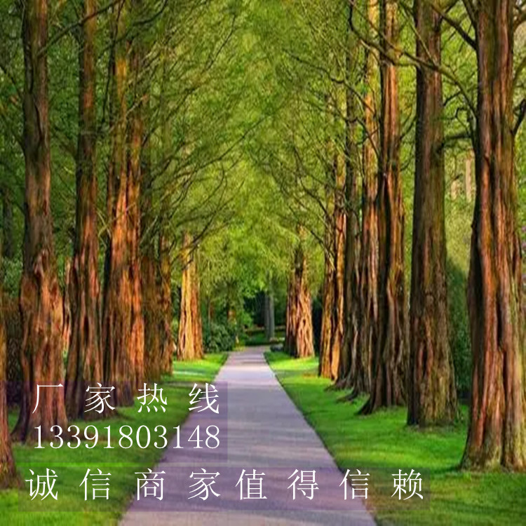 体育运动木地板在使用过程中常见问题