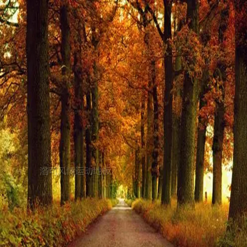 柞木运动木地板排球馆柞木地板