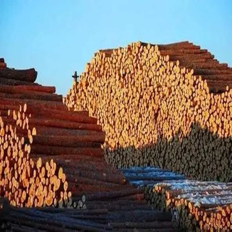 体育木地板未来的优势和特点